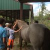 2017 Horseback Riding